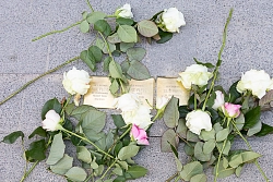 20260520 Stolpersteine Pless Stolpersteine von Paul, Ingrid und Else Pless